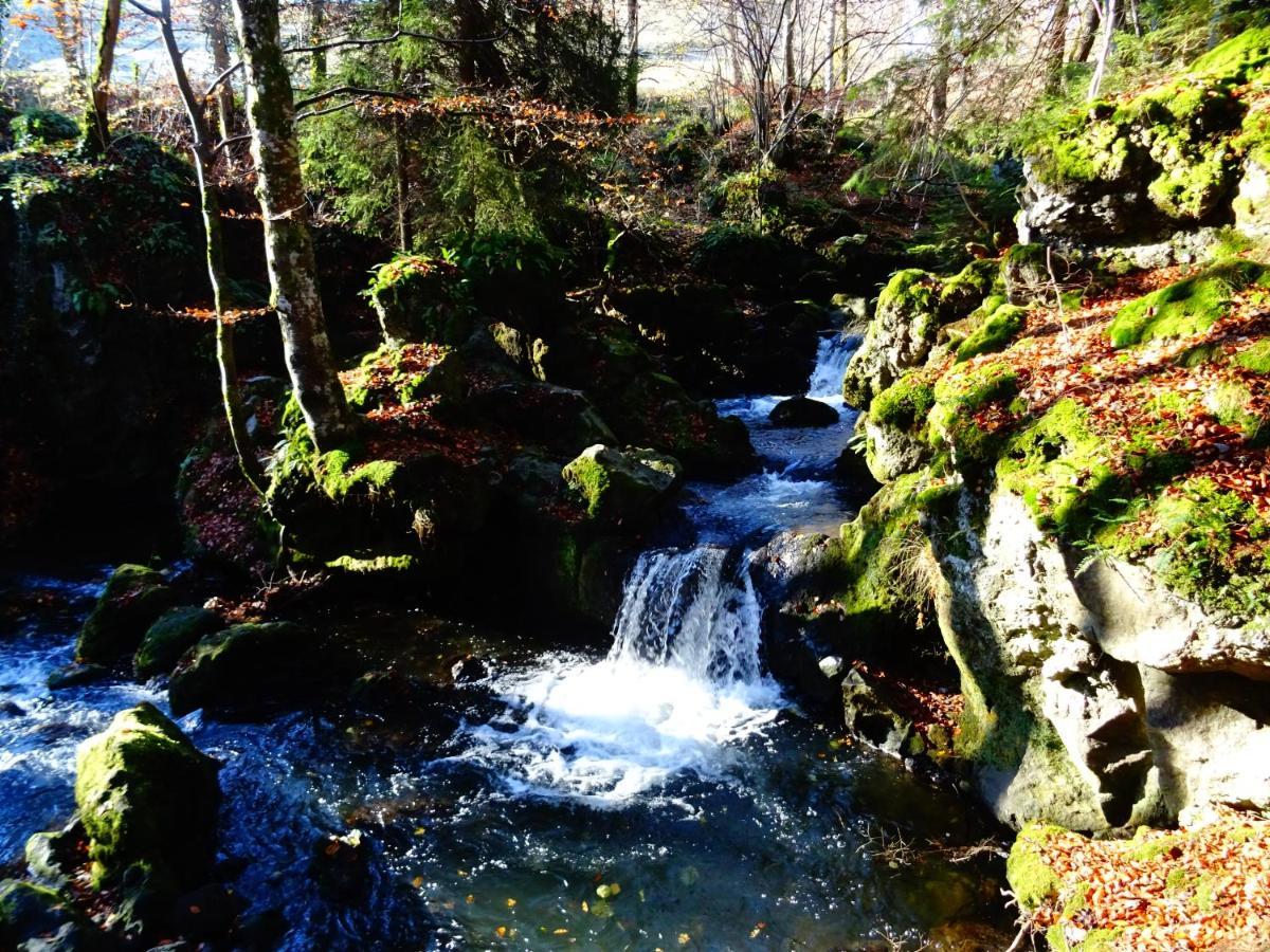 Le Pont Du Roy Bed and Breakfast Besse-et-Saint-Anastaise Buitenkant foto